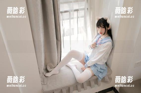 不呆猫泳装合集：沙滩？我看见了海鸥！