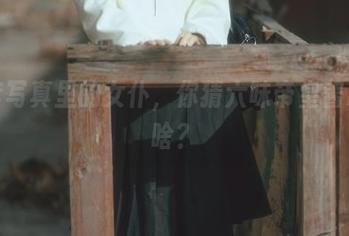 全套写真里的女仆，你猜六味帝皇酱藏着啥？