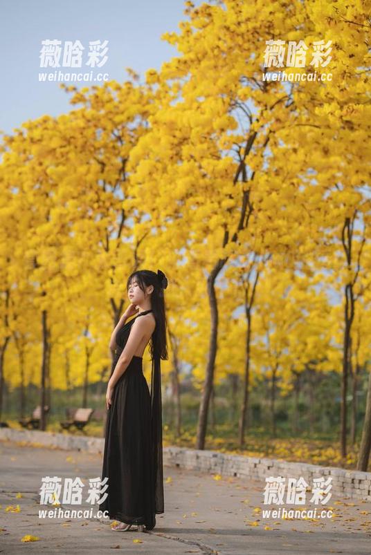 套图集？太普通！来看看萌芽儿o0的透明合集，撩人到不行！