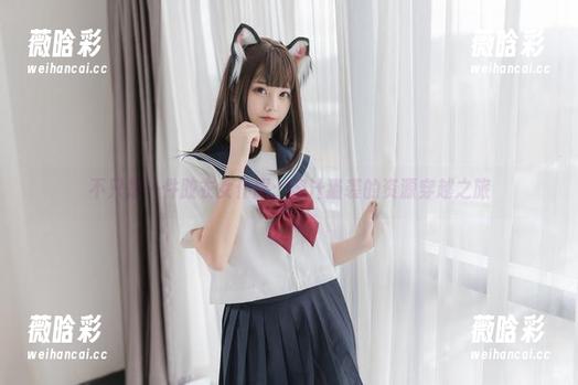 蜜汁猫裘 不只是一件胶衣女仆服:蜜汁猫裘的资源穿越之旅
